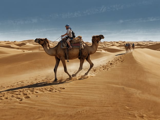 Auf dem Bild sieht man einen Abenteurer, der auf einem Kamel durch die Wüste reitet. Diese Aktivität ist eine traditionelle Art, die endlosen Sanddünen zu erkunden. Solche Kamelritte bieten nicht nur eine einmalige Gelegenheit, die atemberaubende Wüstenlandschaft zu genießen, sondern auch, die kulturellen Traditionen der region zu erleben.Zusätzlich zu Kamelritten gibt es viele weitere aufregende Aktivitäten in der Wüste, wie Sandboarding, das Erkunden von Oasen, nächtliche Wüstencampings unter dem Sternenhimmel oder das Fotografieren der spektakulären Sonnenuntergänge über den Dünen. Diese Erlebnisse bieten ein unvergessliches Abenteuer für Naturliebhaber und Abenteurer.