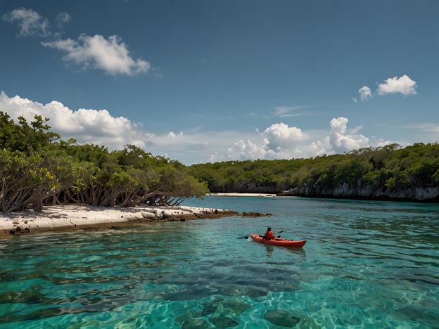 Auf dem Bild ist eine Person zu sehen, die in einem Kayak auf einem klaren Gewässer paddelt, umgeben von grünen Ufervegetationen und einer idyllischen Küstenlandschaft. Diese Szenerie ist ideal für verschiedene Abenteueraktivitäten in Nationalparks.Hier sind einige Aktivitäten für Abenteurer:1. **Kajakfahren**: Die umliegenden Gewässer bieten hervorragende Möglichkeiten für Kajaktouren, um die Natur hautnah zu erleben.2. **Vogelbeobachtung**: In den mangrovenbewachsenen Gebieten kann man eine Vielzahl von Vogelarten entdecken.3. **Snorkeling**: In den klaren Gewässern lassen sich bunte Fische und andere Meereslebewesen beobachten.4. **Wandern**: Entlang der Küstenlinie oder in den umliegenden Wäldern gibt es zahlreiche Wanderwege zu erkunden.5. **Camping**: Übernachten in der Natur ermöglicht es, die Ruhe und Schönheit der Umgebung zu genießen.Diese Aktivitäten eignen sich perfekt für Naturliebhaber und Abenteurer, die die Schönheit von Nationalparks erleben möchten.