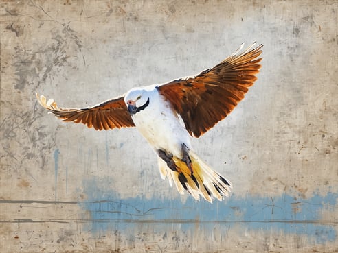Ein majestätisch fliegender Vogel mit ausgeprägten, braunen und weißen Gefiedern schwebt durch die Luft. Die Flügel sind weit ausgebreitet, während der Vogel einen intensiven Blick in die Kamera wirft. Der Hintergrund zeigt eine sanfte, abstrakte Textur in Erdtönen, die dem Bild eine künstlerische Note verleiht. Das gesamte Motiv vermittelt eine Atmosphäre von Freiheit und Anmut. Kiwitaxi: Stressfreie Transfers und coole Extras – Reisen wie nie zuvor.