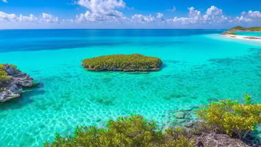 Bahamas starten Korallenschutz: Neuer Genbank eröffnet!