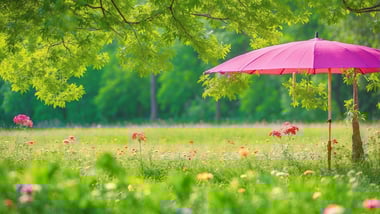Extreme Hitze in Deutschland: So schützt du dich vor über 39 Grad!