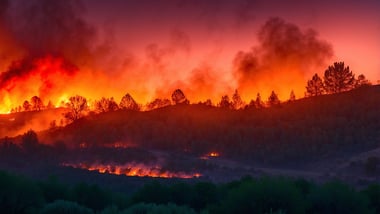 Waldbrand in Südfrankreich – Bleib sicher, Flughafen Marseille zu!