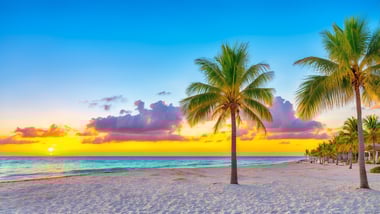 Entdecke das neue Wohlfühlparadies in Floridas Strandklima