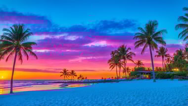 Entdecke das neue Traumresort am Strand von Florida