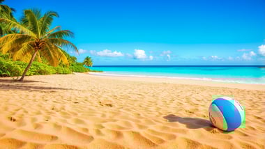 Kultball Wilson aus Cast Away findet neues Zuhause in Fiji