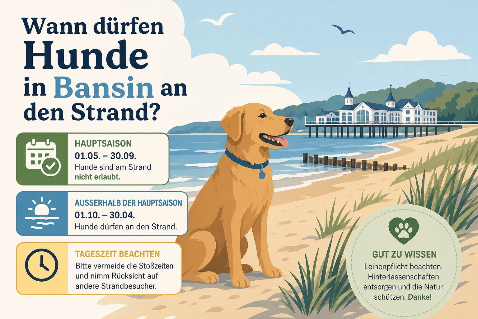 Wann dürfen Hunde in Bansin an den Strand?